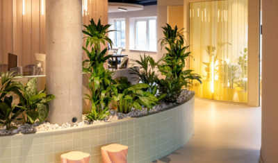 Overview of the Nerds & Company office showing the balance between interior design and greenery.