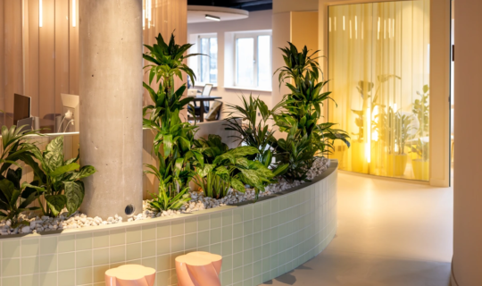 Overview of the Nerds & Company office showing the balance between interior design and greenery.