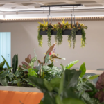Interieurbeplanting bij Office Lab in Amsterdam