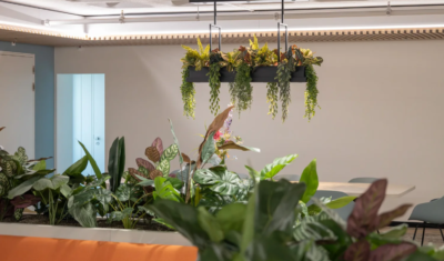 Interieurbeplanting bij Office Lab in Amsterdam