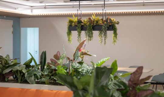 Interieurbeplanting bij Office Lab in Amsterdam