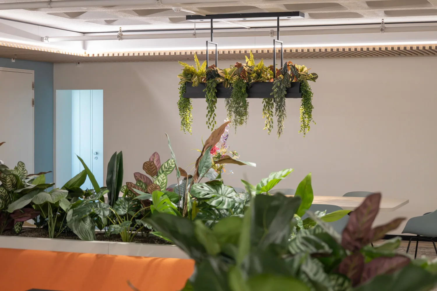 Groen dat het ontwerp van Office Lab versterkt