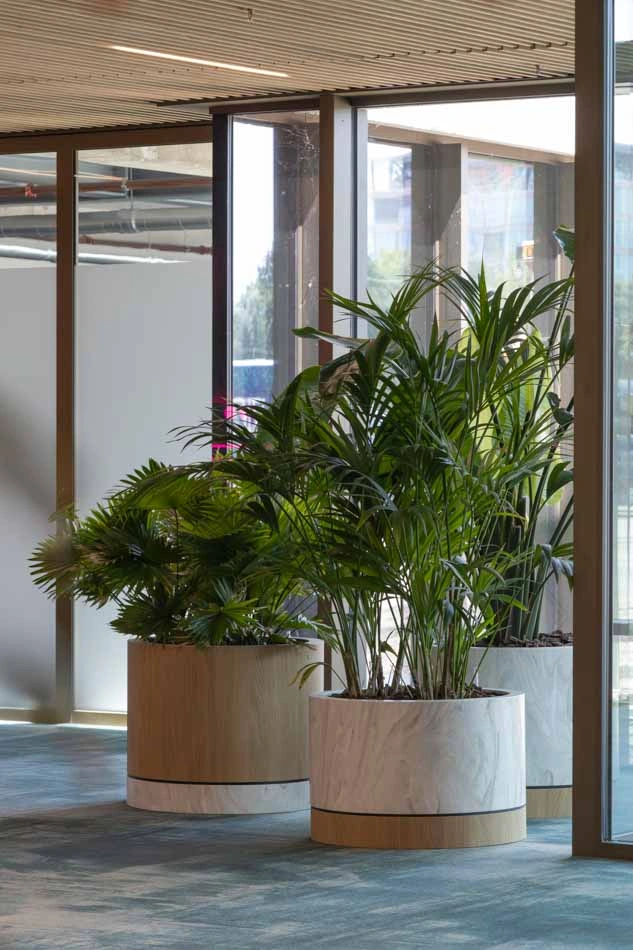 Office-Lab-LR-16.webp