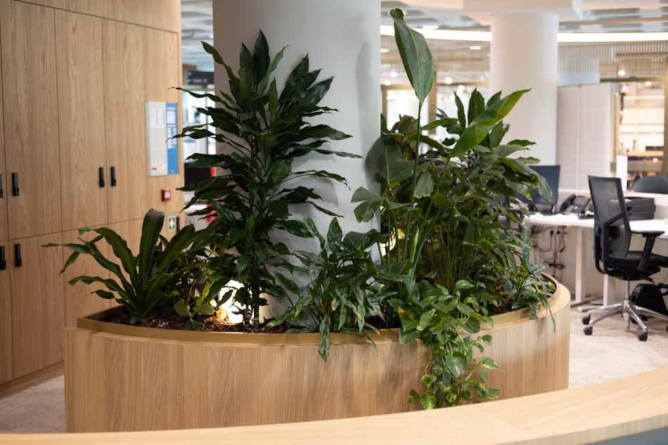 Office-Lab-LR-22.webp