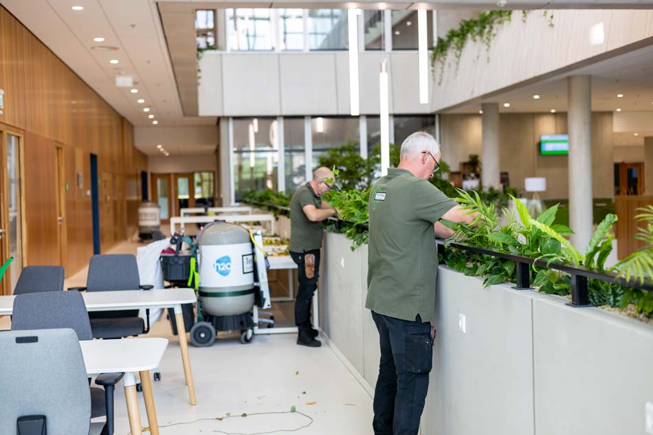 Onderhoud-planten-Jos-Clazinus-Wageningen-University.jpg