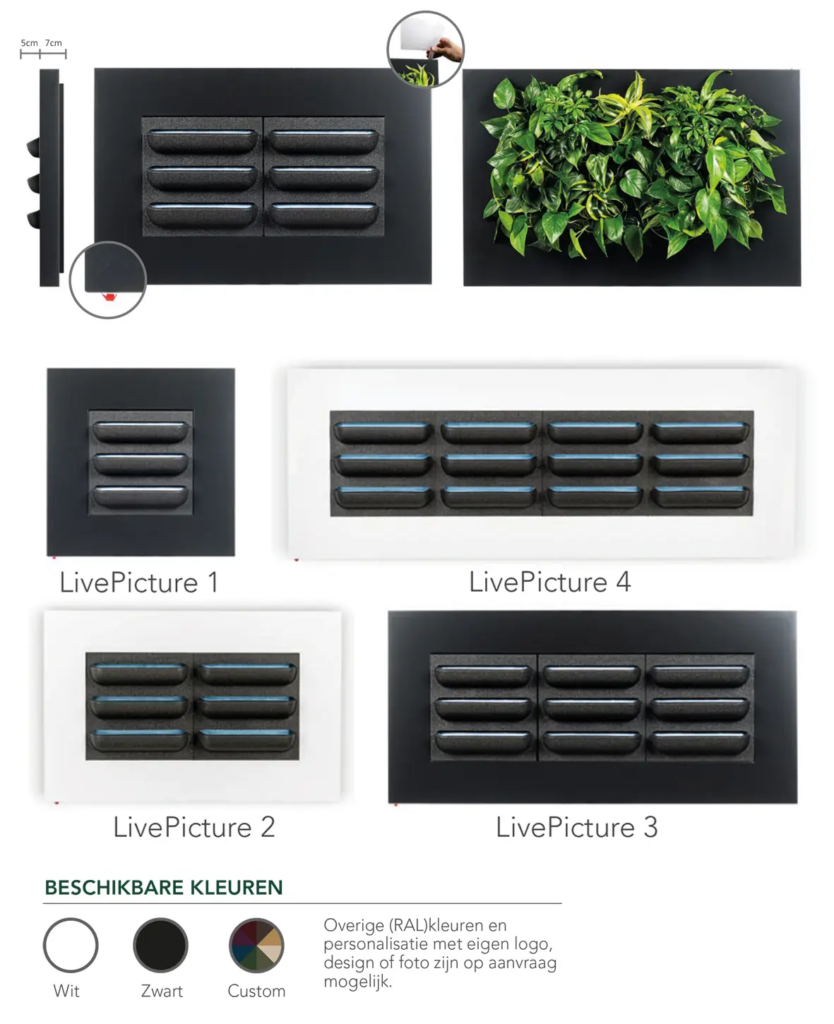 Verschillende types levend planten schilderij op een rijtje