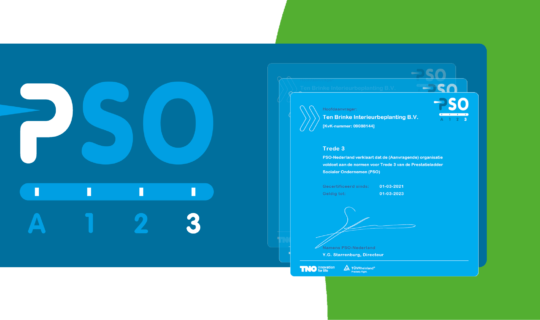 Header PSO Ten Brinke Interieurbeplanting