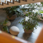 Office plants in Palace of Justice Arnhem Netherlands