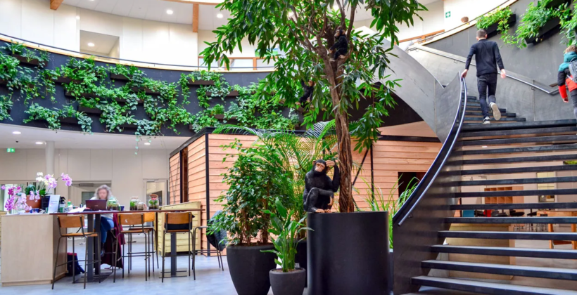 Planten in school bij Zonne.college in Doetinchem