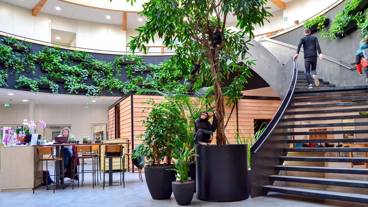 Planten in school bij Zonne.college in Doetinchem