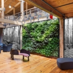 Binnen plantenwand natuurlijke uitstraling