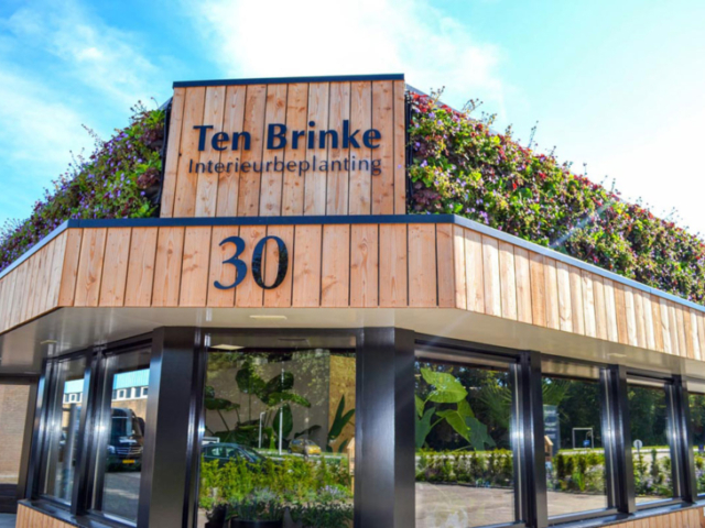 Ten Brinke buiten plantenwand
