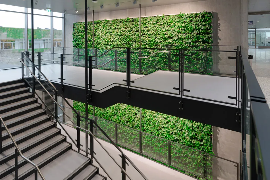 Plantenwand