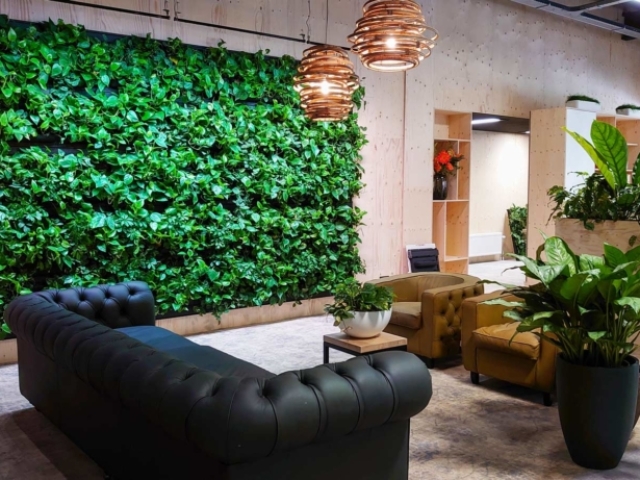 Plantenwand binnen bij Ten Brinke Interieurbeplanting