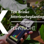 Uitgelicht: Parus plantlight