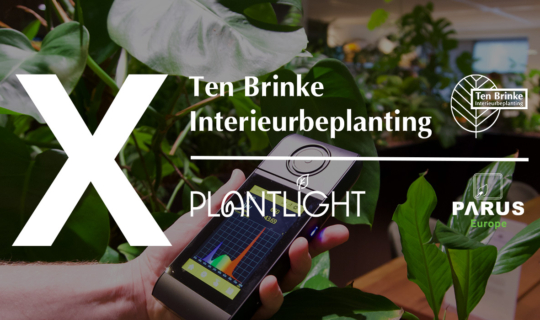 Uitgelicht: Parus plantlight