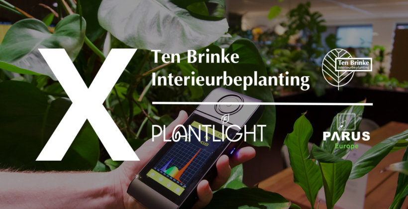 Uitgelicht: Parus plantlight