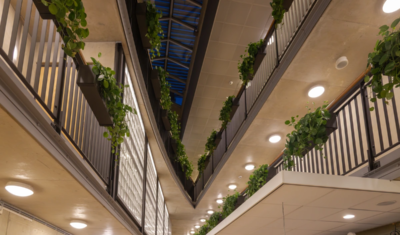 Beplanting aan balustrades in het pand van rechtbank Zutphen