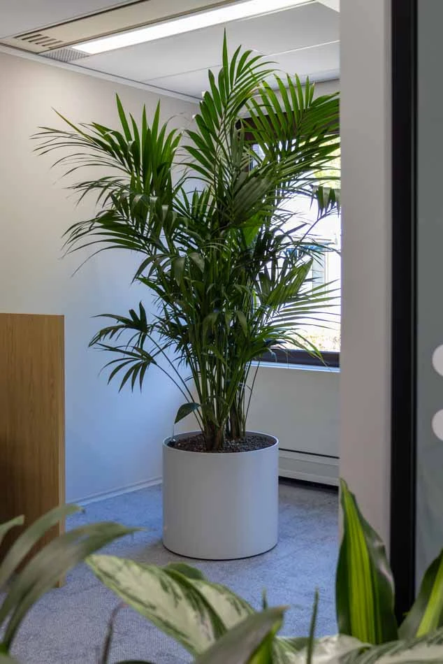 SWECO-De-Bilt-WEB-22-1.webp