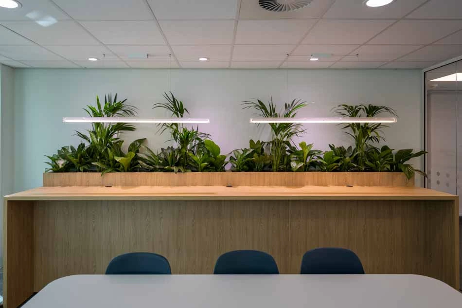 SWECO-De-Bilt-WEB-36.webp