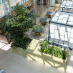 Interieurbeplanting bij Sweco De Bilt