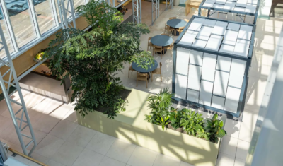 Interior plants at Sweco De Bilt