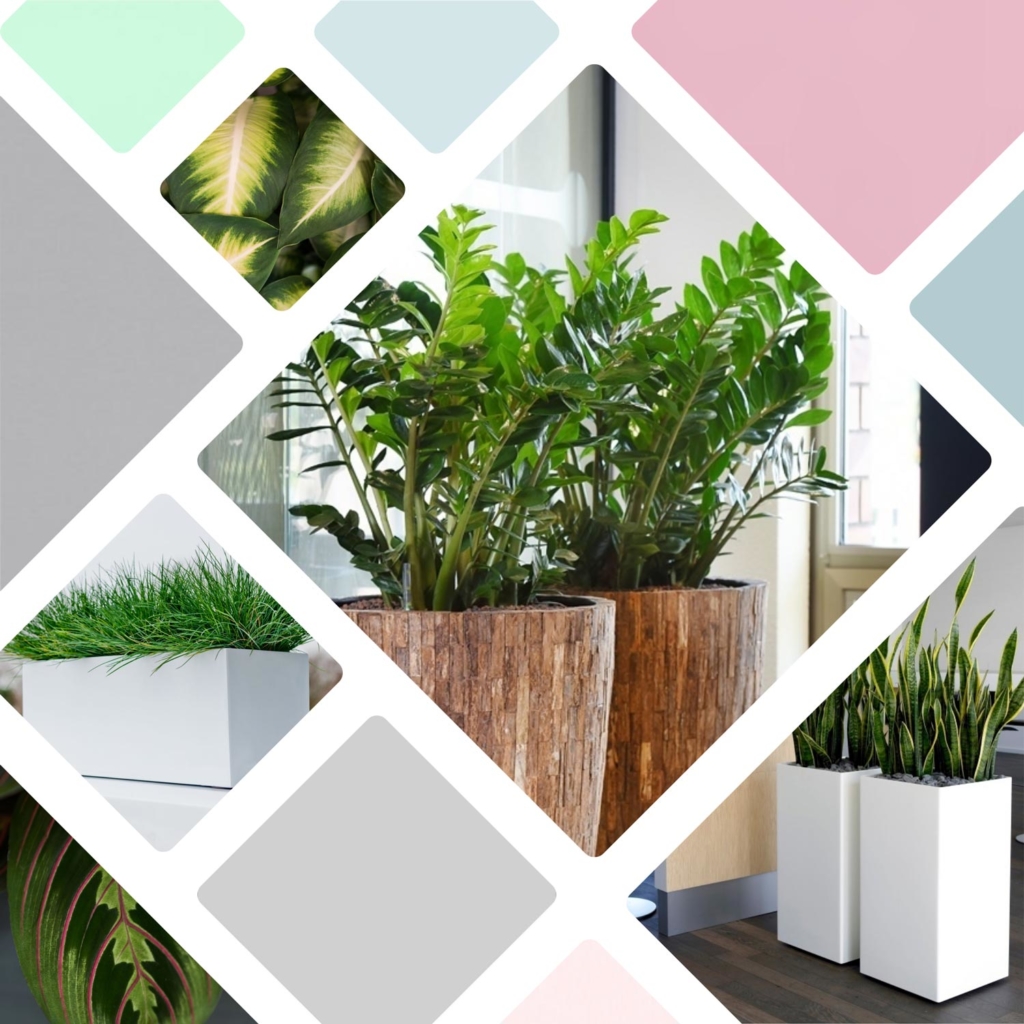 Scandinavian Breeze kantoorbeplanting inrichting stijl