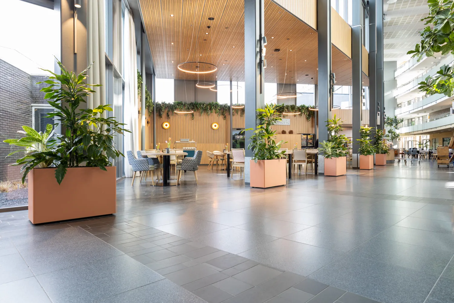 Sensire Zutphen | An open space with a warm and green atmosphere