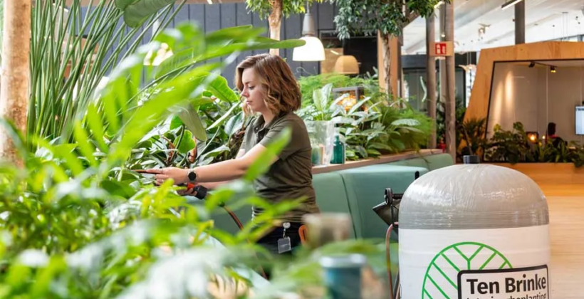 Plantenexpert Sharon onderhoud planten bij Nedap