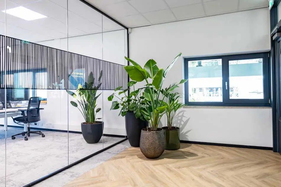 Set van verschillende planten en plantenbakken naast kantoorruimte