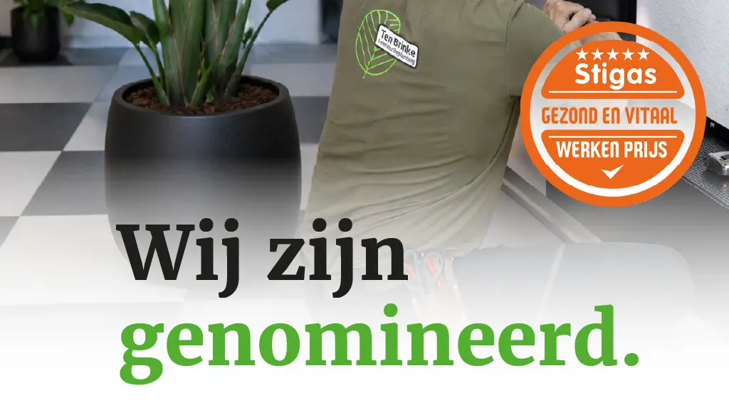 Stigas prijs Ten Brinke Interieurbeplanting