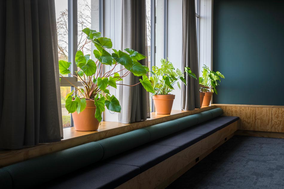 Terra-Cotta-bloempotten-Media-Monks-Interieurbeplant.jpg