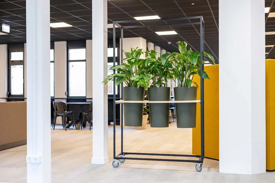 Unieke-interieurbeplanting-verrijdbaar-roomdivider-staal-plantenbakken.webp