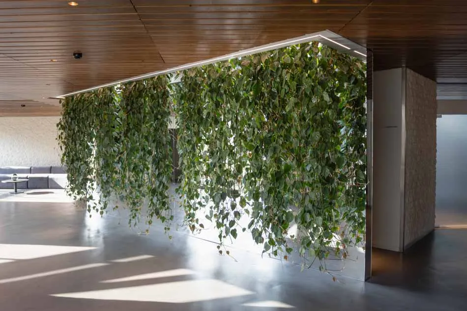 Unique-plants-Crematorium-en-Uitvaartcentrum-Zaanstad.webp