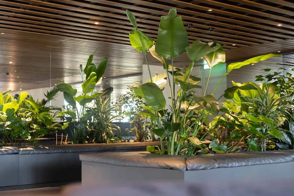 Urban-Jungle-Crematorium-en-Uitvaartcentrum-Zaanstad.webp