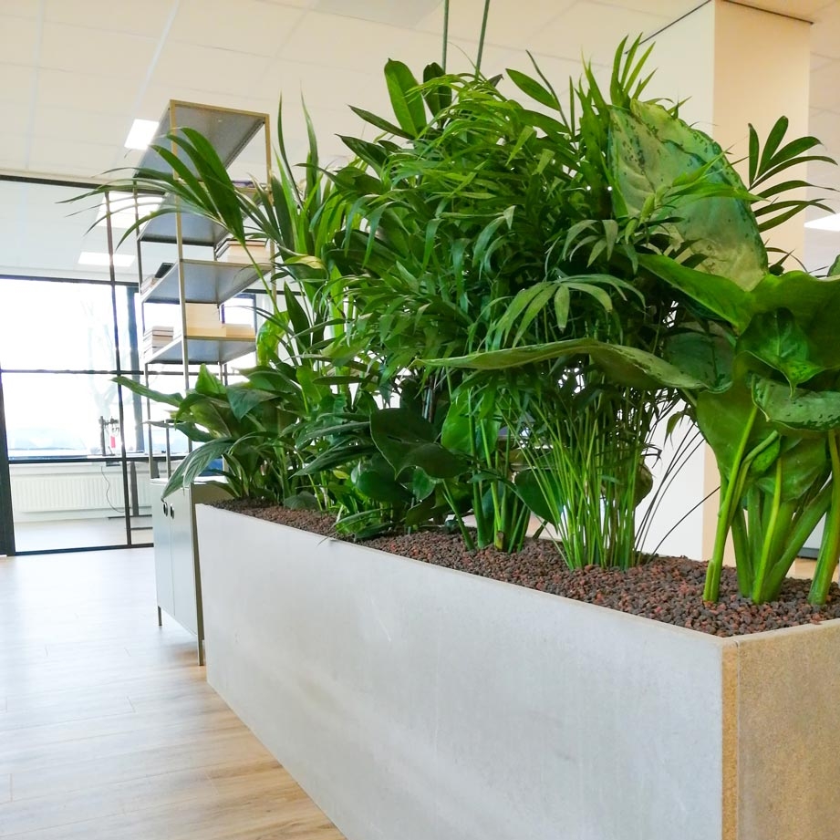 Werkplekafscheiding planten urban jungle