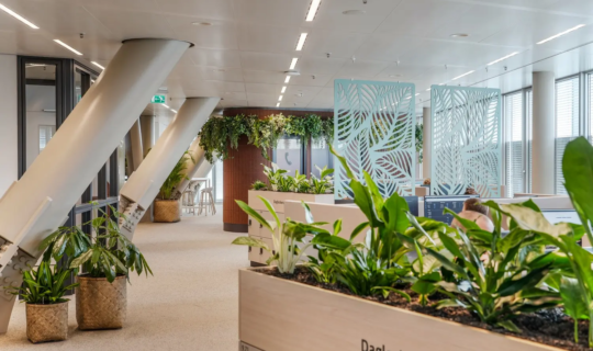Interieurbeplanting door Ten Brinke bij VGZ Eindhoven
