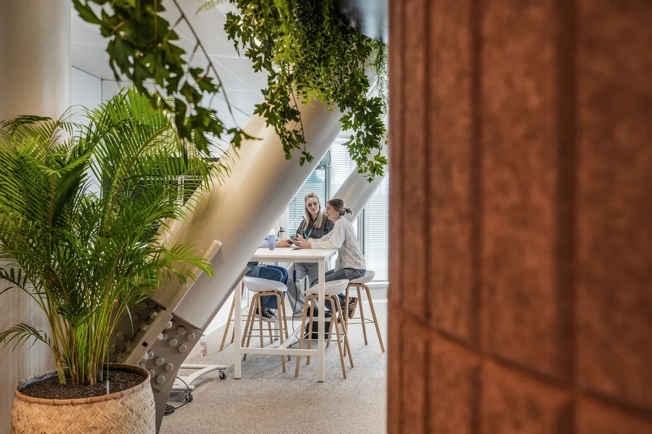 VGZ-Eindhoven-Ten-Brinke-Interieurbeplanting-4.webp