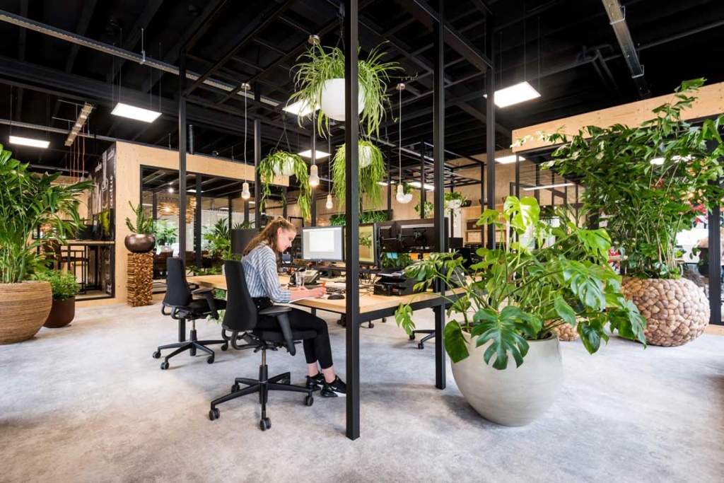 Interieurbeplanting kantoor