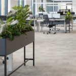 Interieurbeplanting bij Virupa in Ulft