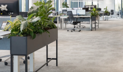 Interieurbeplanting bij Virupa in Ulft