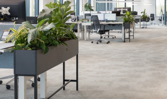 Interieurbeplanting bij Virupa in Ulft