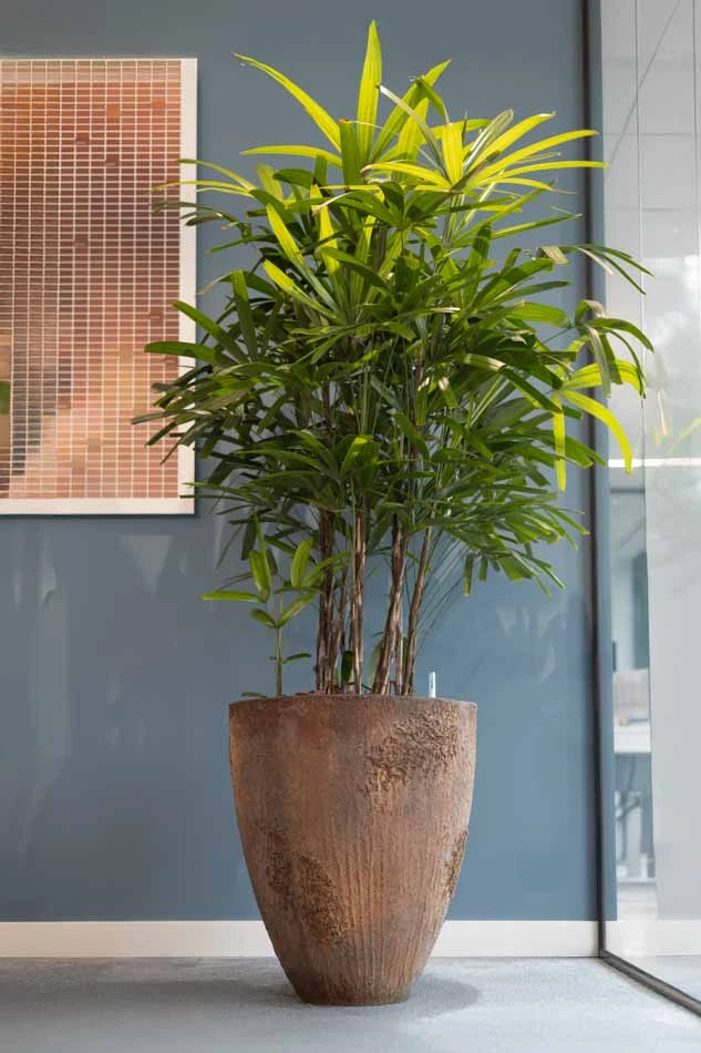 Virupa-Interieurbeplating-Ten-Brinke-7.webp