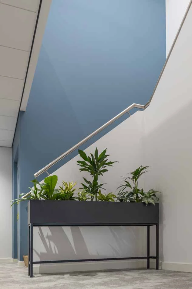 Virupa-Interior-Landscaping-Ten-Brinke-10.webp