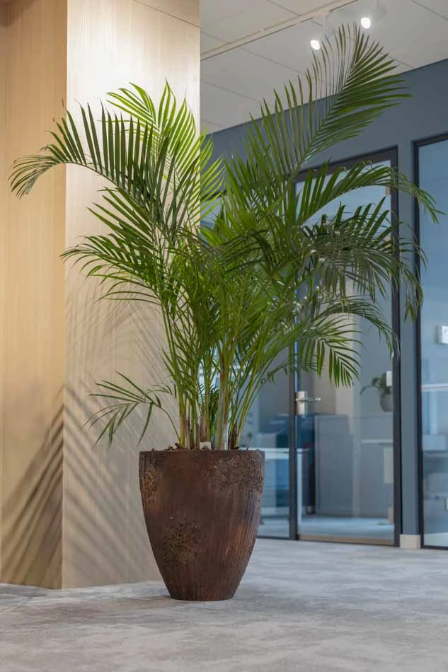 Virupa-Interior-Landscaping-Ten-Brinke-2.webp
