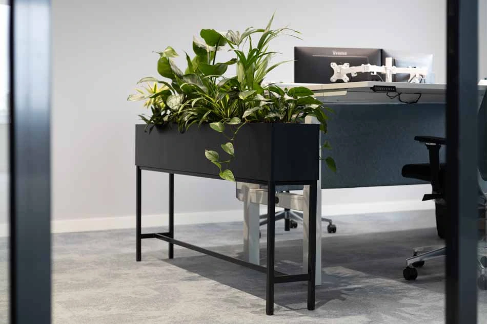 Virupa-Interior-Landscaping-Ten-Brinke-5.webp