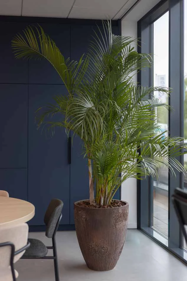 Virupa-Interior-Landscaping-Ten-Brinke-8.webp
