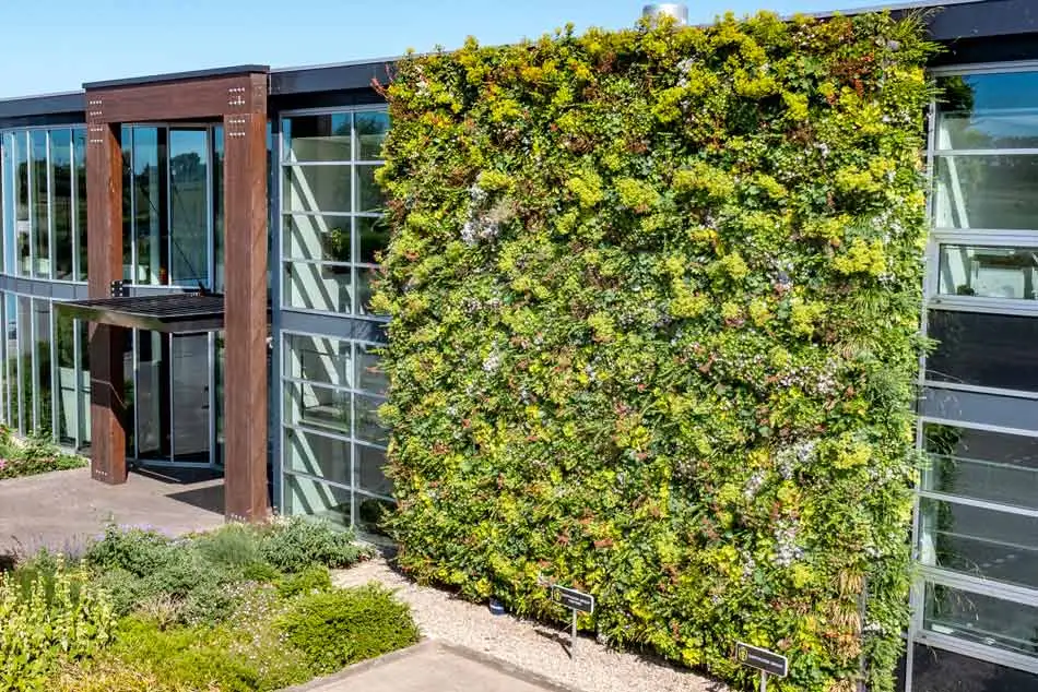 Voorbeeld van groene gevel in verschillende formaten