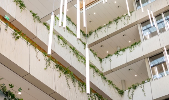 Biophilic sfeerimpressie WUR