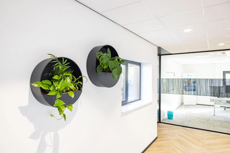 Wall-planters-kantooromgeving.webp